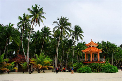 厨小厨瓦香鸡米饭