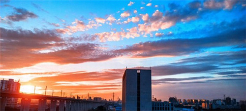 纯色奶茶是什么奶茶店名字，纯色奶茶是什么奶茶店