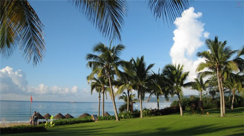 加盟大浪炭火烤肉会亏本吗