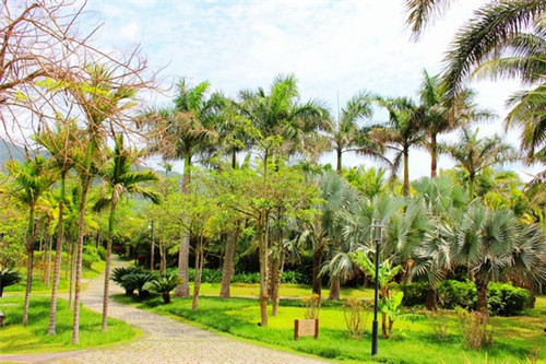 餐饮设计案例分析100例，餐饮设计记录怎么写范文