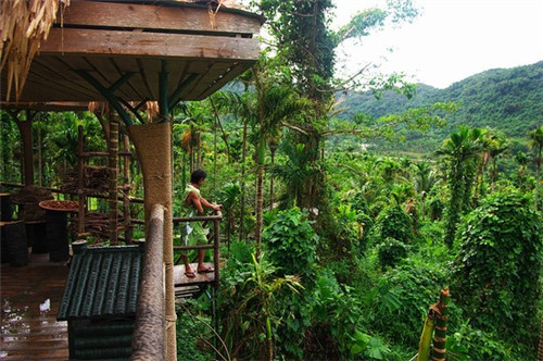 加盟哆卡果茶受欢迎吗