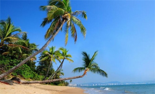 酱骨鱼火锅食材超市加盟设备都是品牌方提供吗