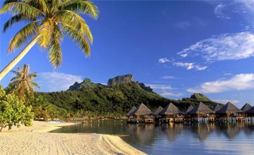 临洮县可以加盟阿公阿婆粥粉面馆吗，在临洮县加盟特色面馆店哪些收益比较快