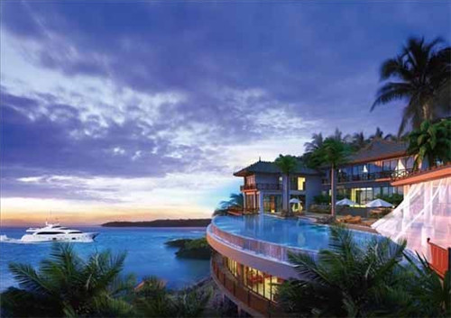 五叶茶奶茶知名度如何