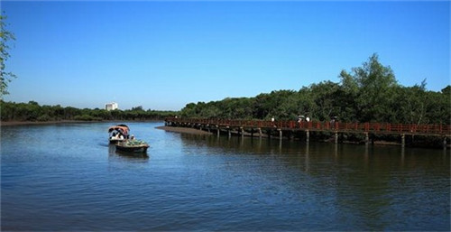 美团旅行社商家版登录入口（美团旅行商家app下载）