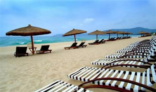 猪的十大禁忌食物是什么（猪不能吃什么食物）