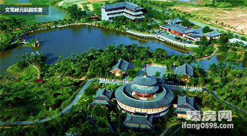 菠菜公司是什么意思（菠菜公司是啥）