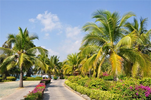 下雪天玩什么小游戏（下雪天适合玩什么）