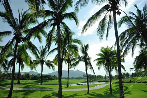 餐饮店楼梯，餐饮门口有楼梯怎么设计